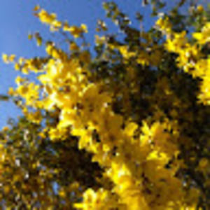 Meet your Posher, Norah